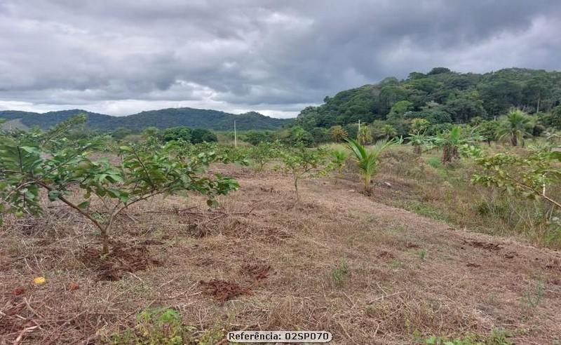 Fazenda à venda com 2 quartos, 170000m² - Foto 13