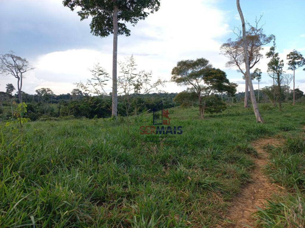 Fazenda-Sítio-Chácara, 600 hectares - Foto 1