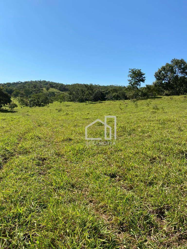 Fazenda à venda com 3 quartos, 21217700000M2 - Foto 19