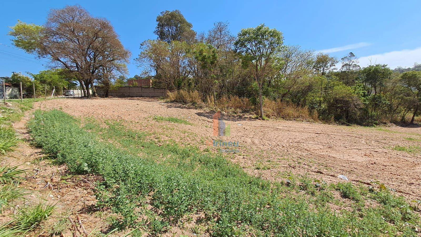 Terreno, 4900 m² - Foto 5