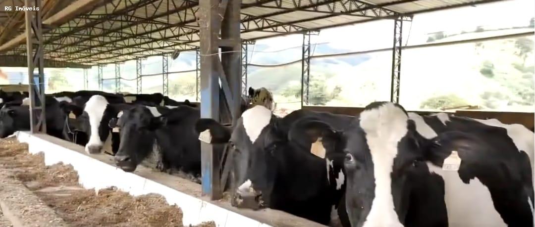 Fazenda-Sítio-Chácara, 250 hectares - Foto 2