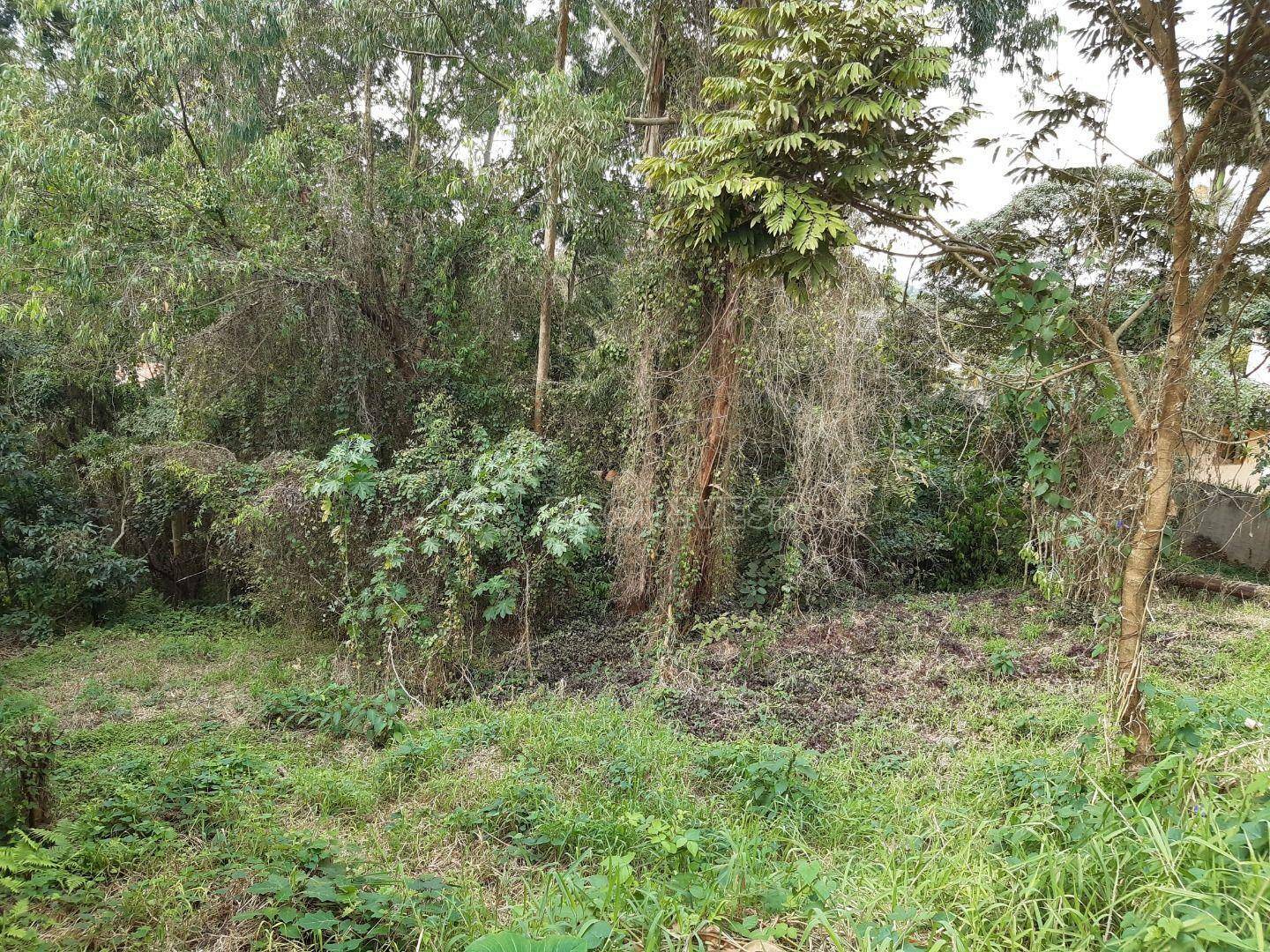 Loteamento e Condomínio, 2085 m² - Foto 6