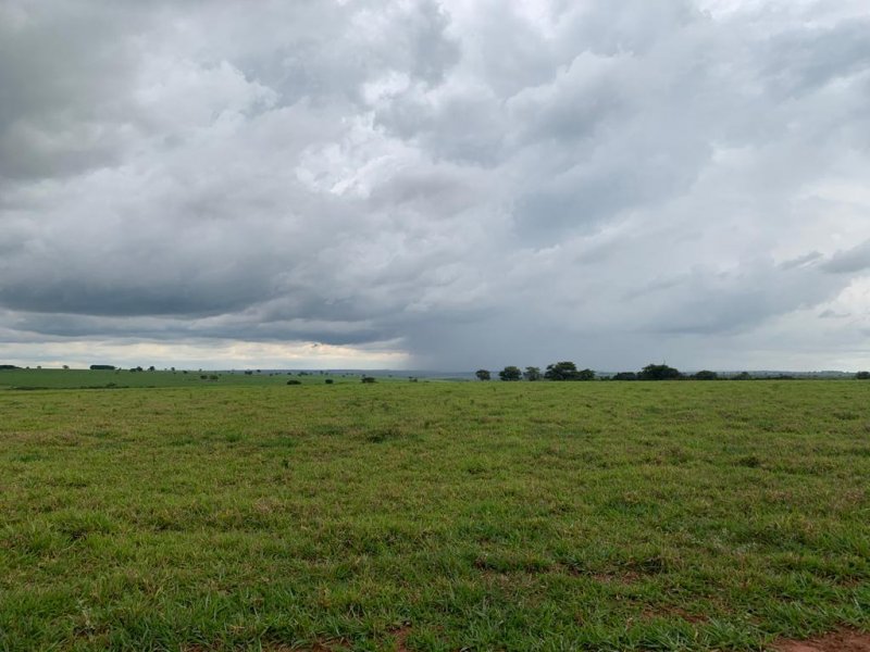Fazenda à venda, 1007m² - Foto 24