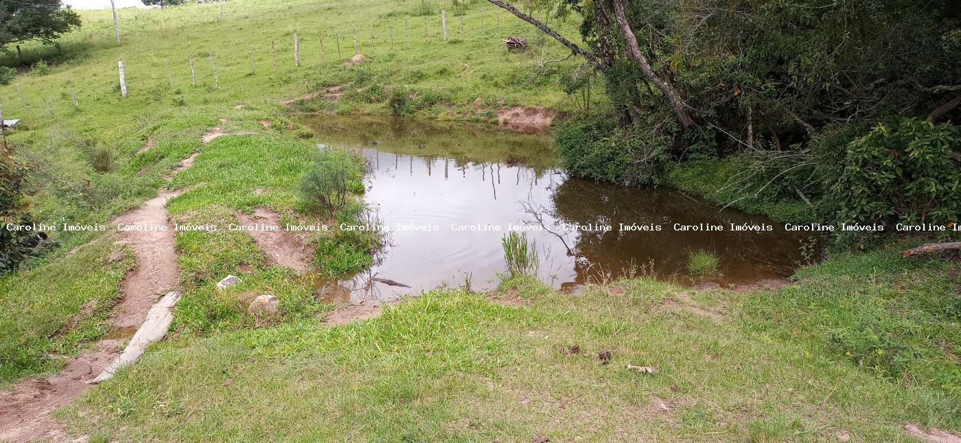 Sítio à venda com 2 quartos, 220000m² - Foto 3