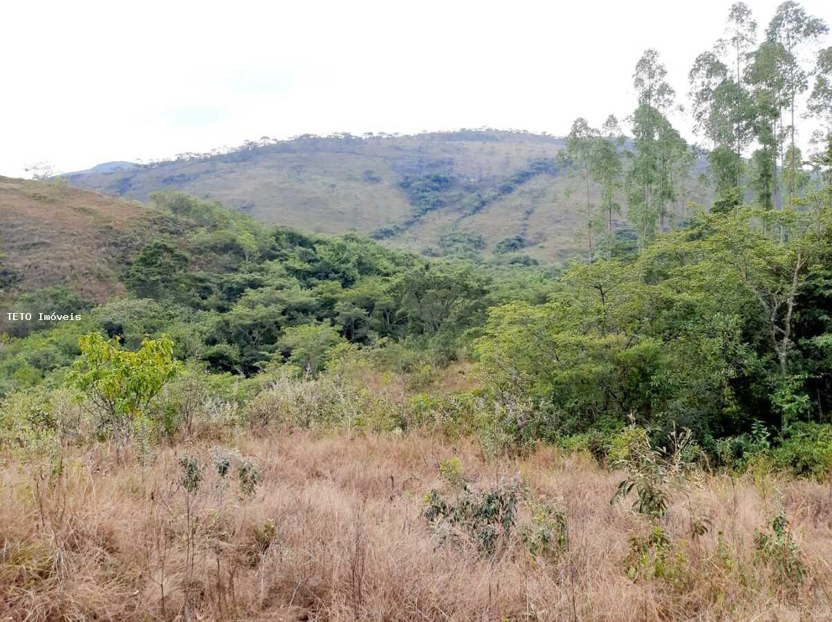 Fazenda à venda com 3 quartos, 4m² - Foto 33