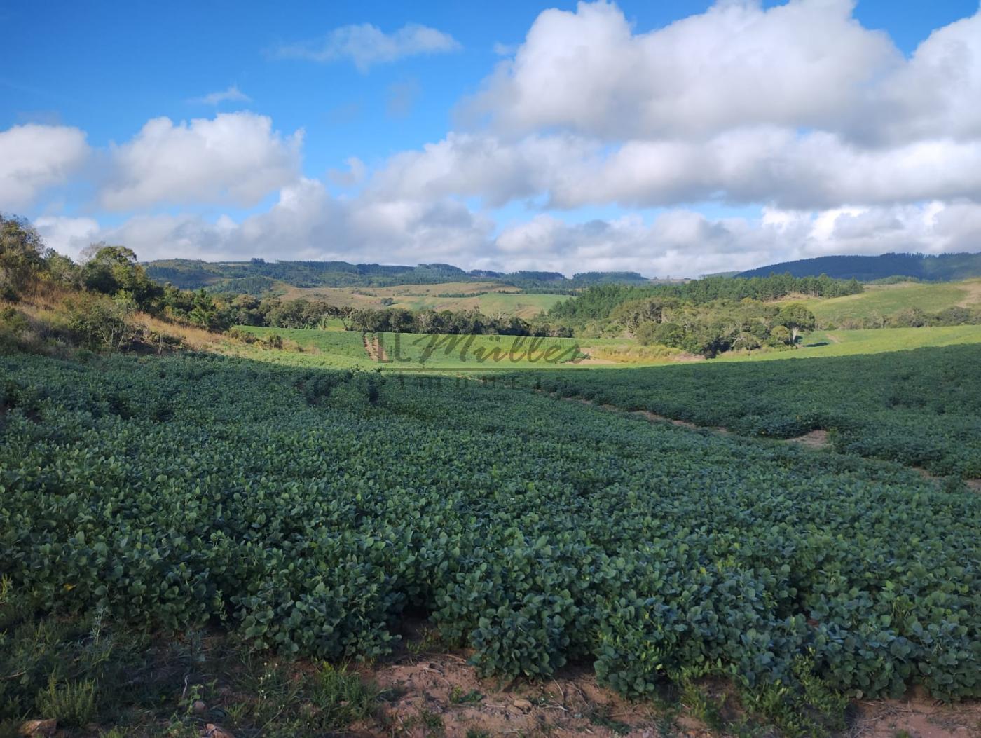 Fazenda à venda, 677m² - Foto 14