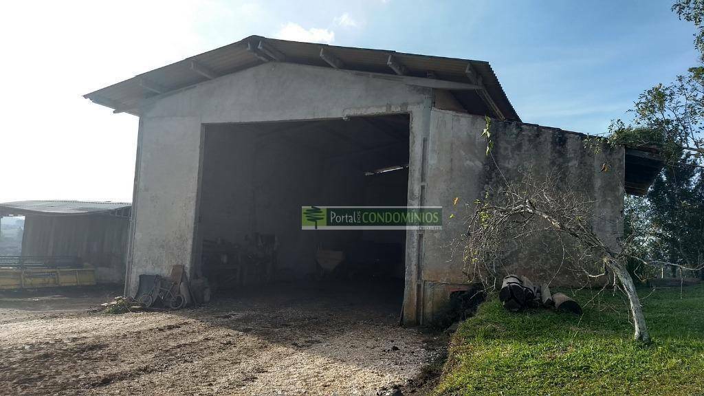 Fazenda à venda com 4 quartos, 630m² - Foto 4