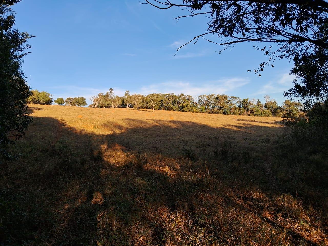 Fazenda à venda, 36000m² - Foto 10