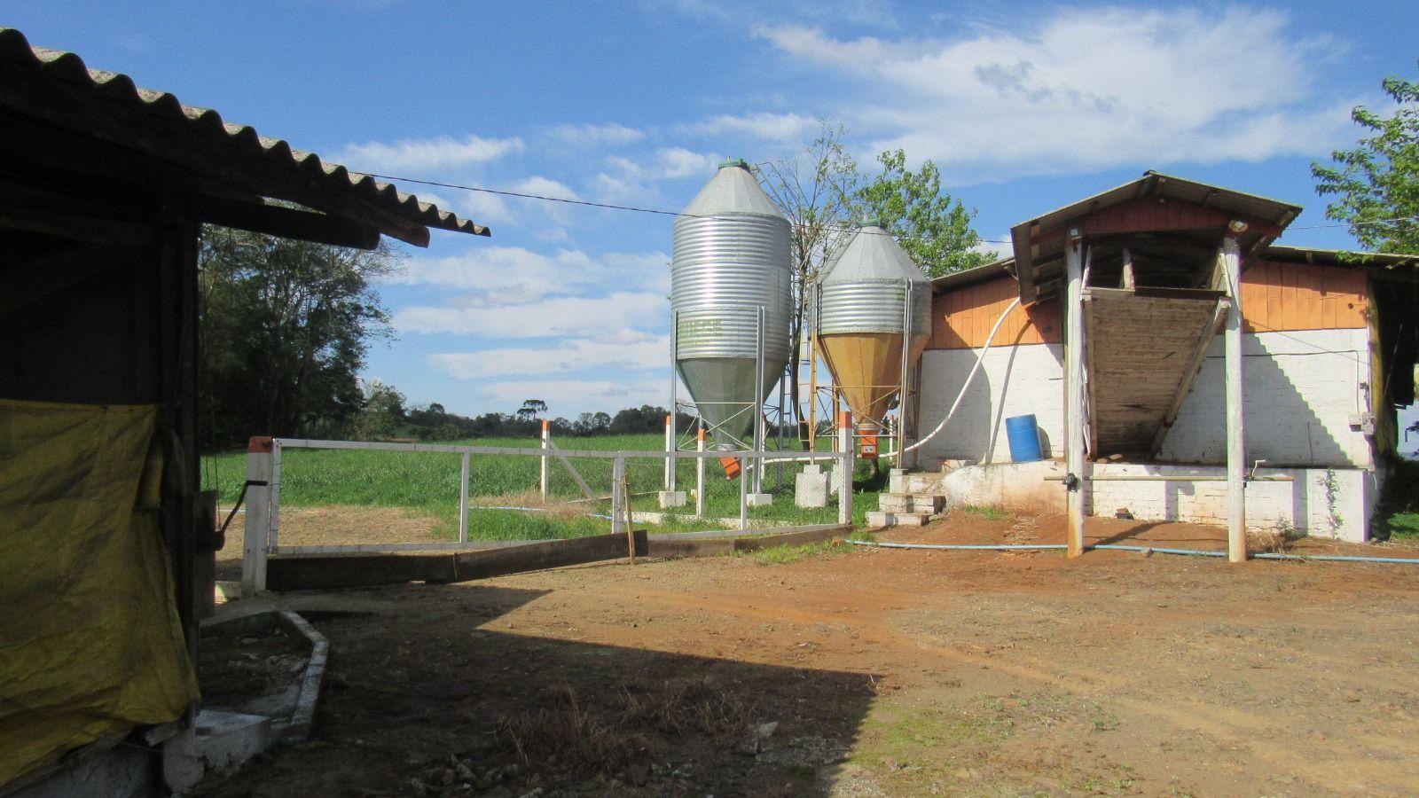 Fazenda à venda, 133000m² - Foto 34