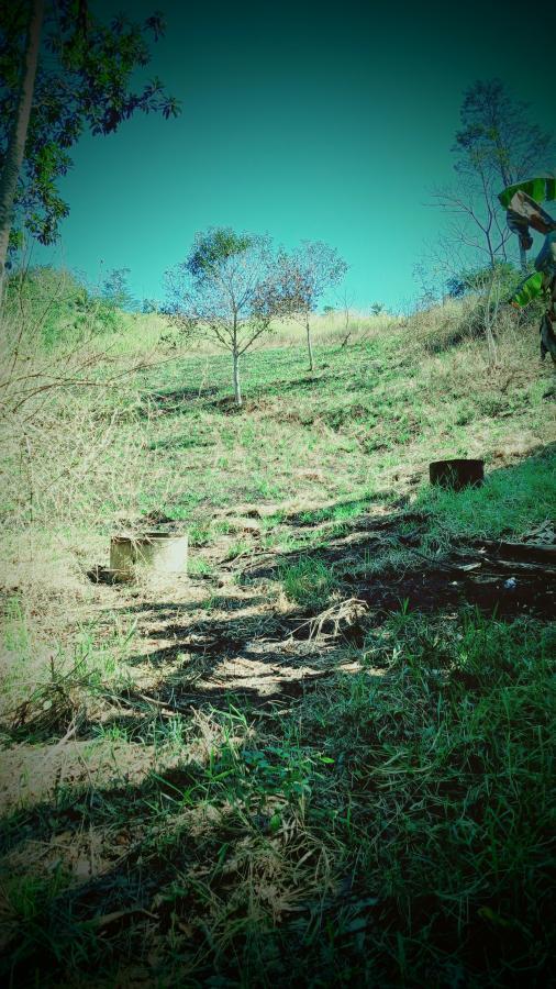 Fazenda à venda com 1 quarto, 10000m² - Foto 6