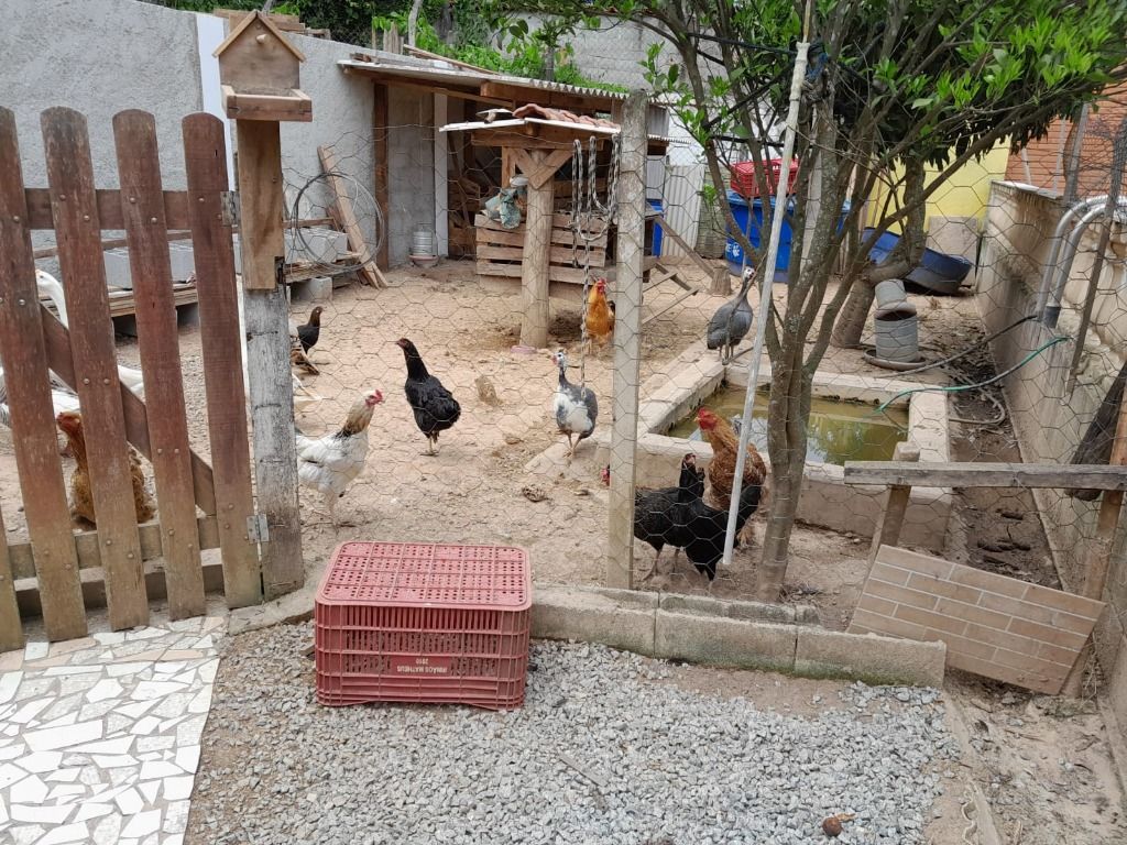 Chácara à venda com 4 quartos, 1500m² - Foto 55