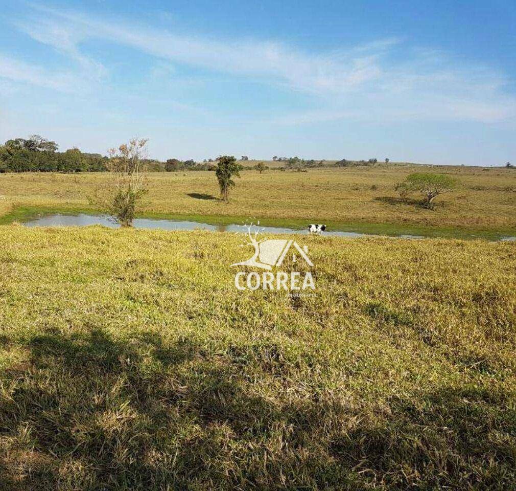 Fazenda à venda, 1936000M2 - Foto 8