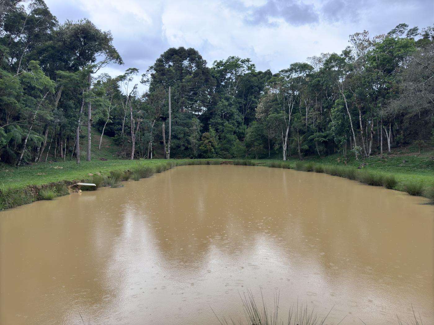 Chácara à venda com 4 quartos, 15000m² - Foto 62