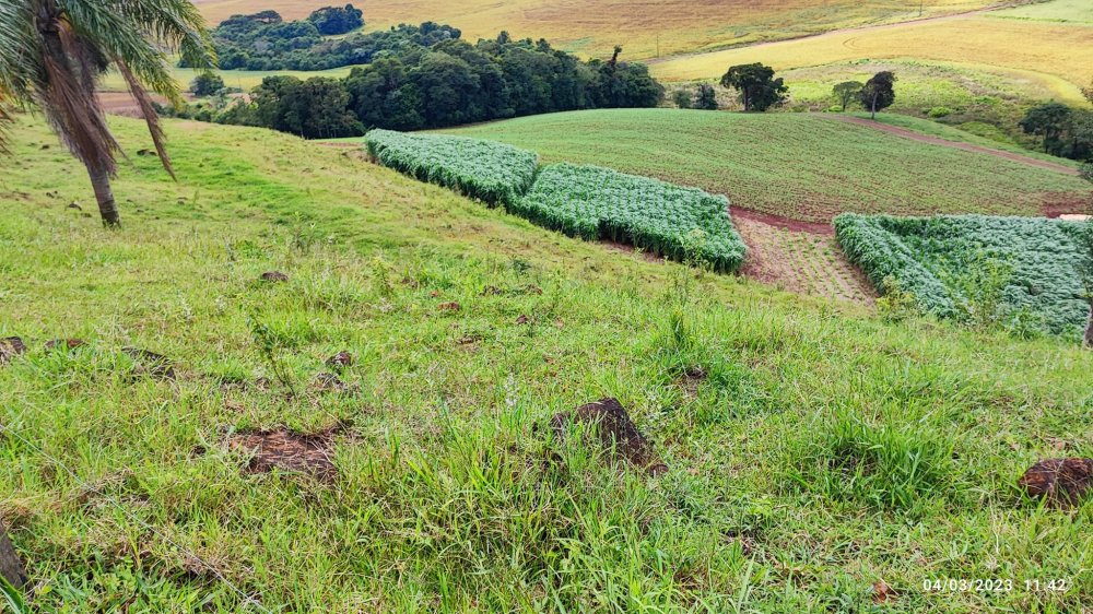 Fazenda à venda, 48400m² - Foto 1