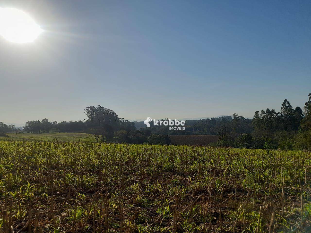 Terreno à venda, 88000M2 - Foto 8