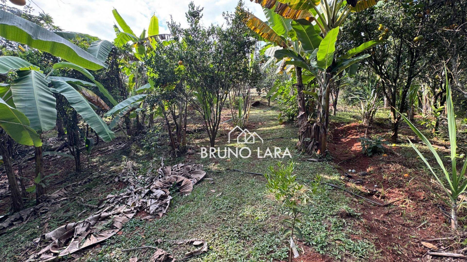 Sítio, 6 quartos, 4 hectares - Foto 68