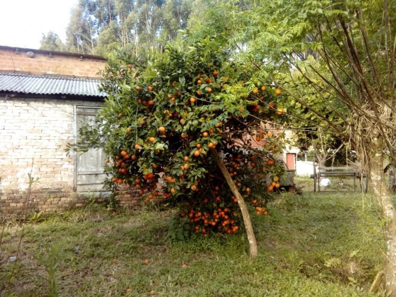 Sítio à venda com 1 quarto, 30000m² - Foto 3