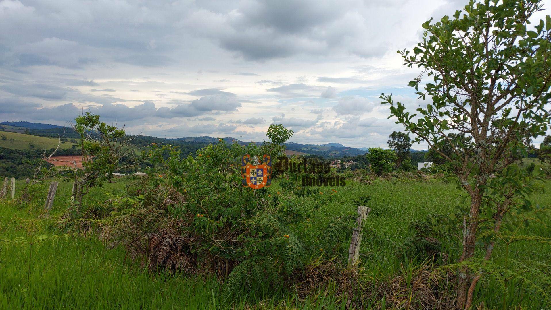 Terreno à venda, 60000M2 - Foto 8