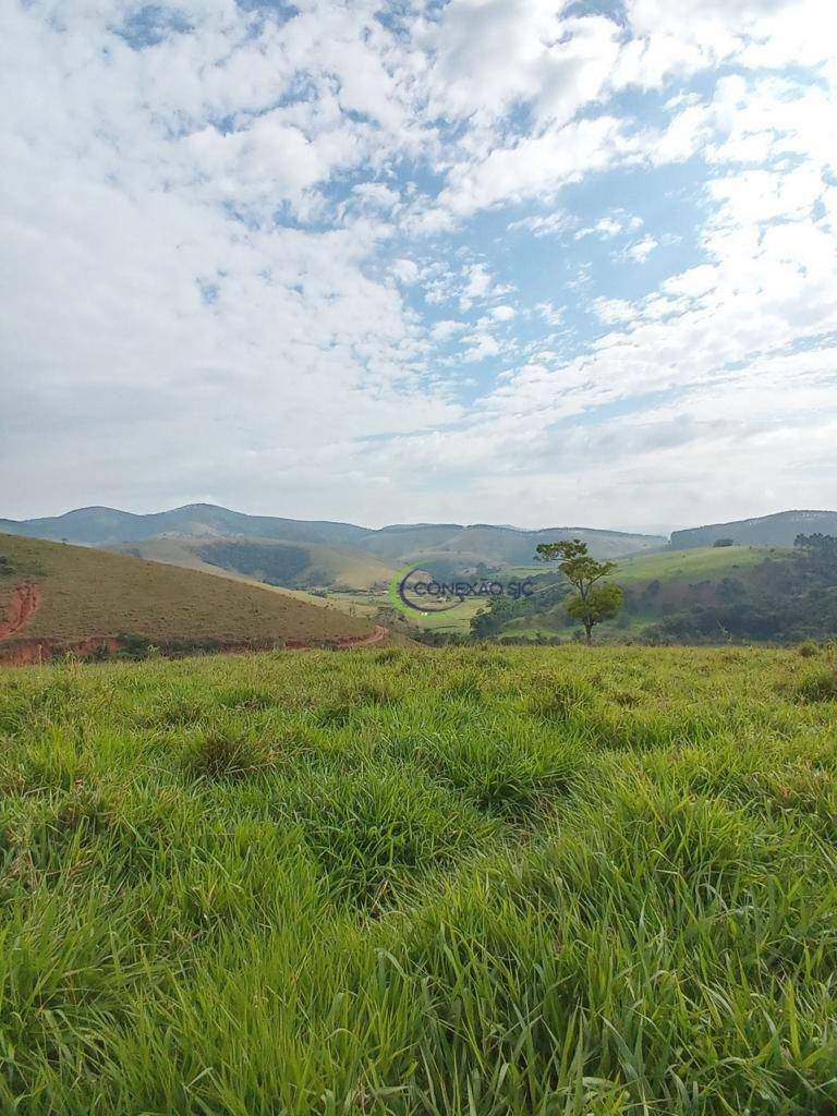 Fazenda à venda com 7 quartos, 5154600M2 - Foto 7