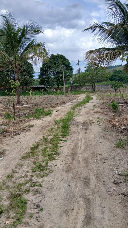 Fazenda à venda com 2 quartos, 31000m² - Foto 8