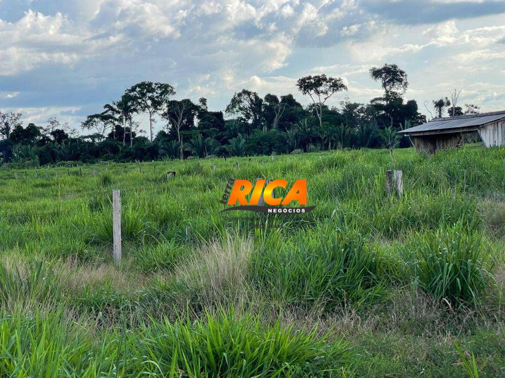 Sítio, 40 hectares - Foto 26