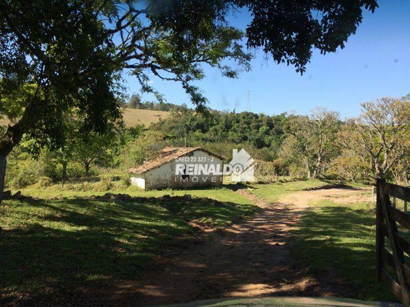 Fazenda à venda com 8 quartos, 950m² - Foto 57