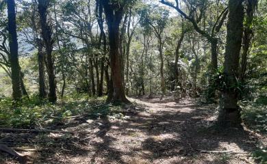 Fazenda à venda com 1 quarto, 100000m² - Foto 6