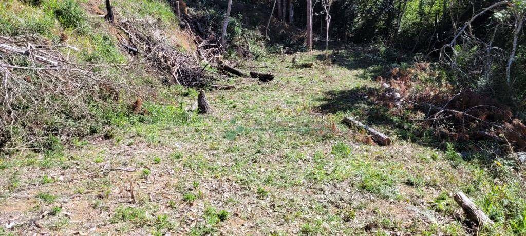 Loteamento e Condomínio à venda, 1750M2 - Foto 4