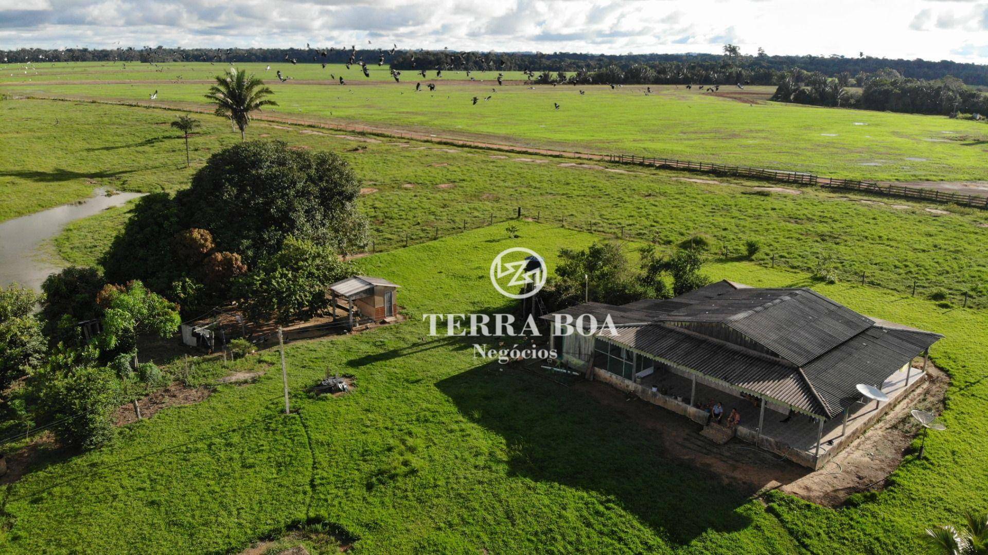 Fazenda-Sítio-Chácara, 397 hectares - Foto 4