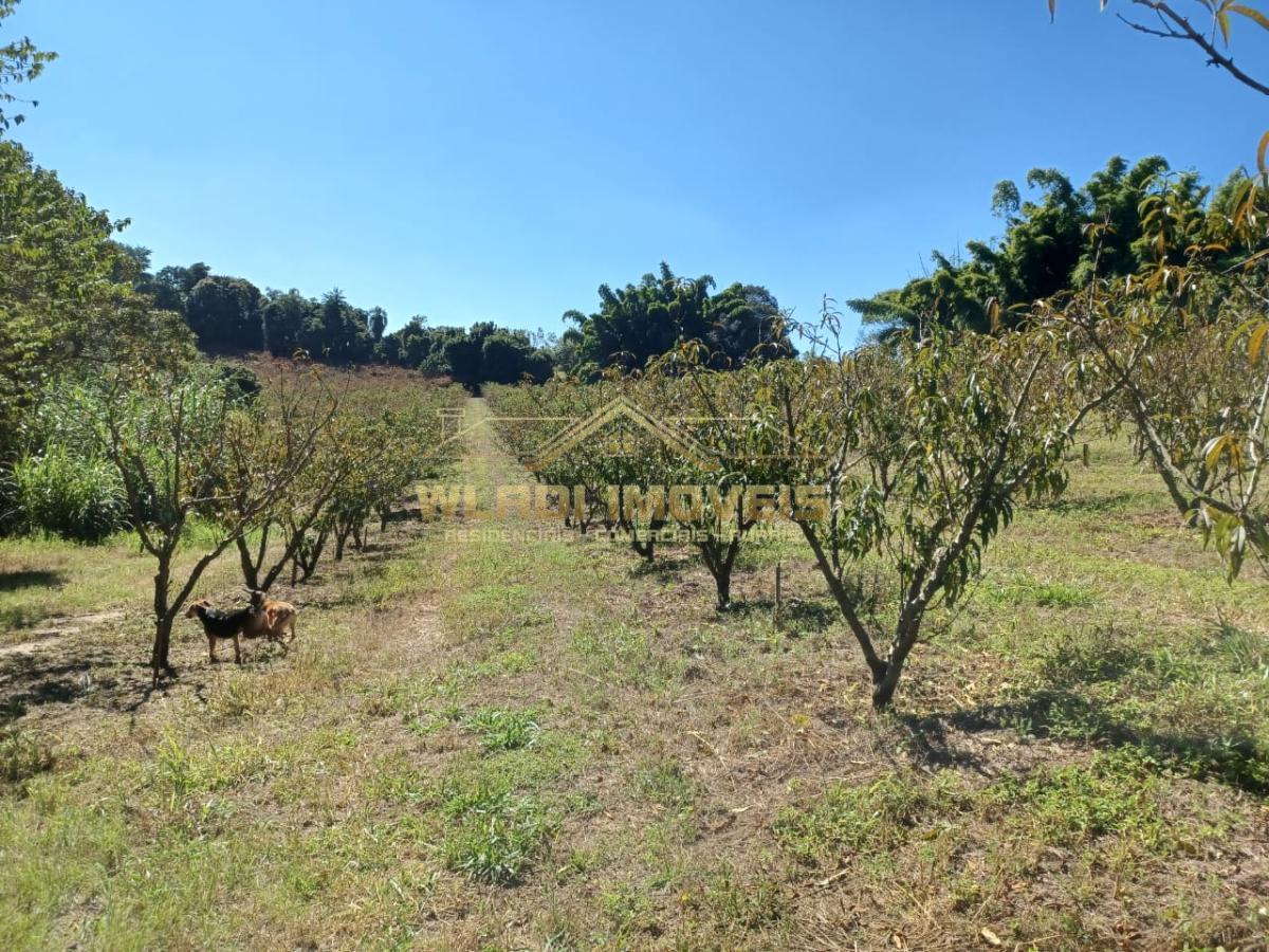 Fazenda à venda, 145200m² - Foto 2