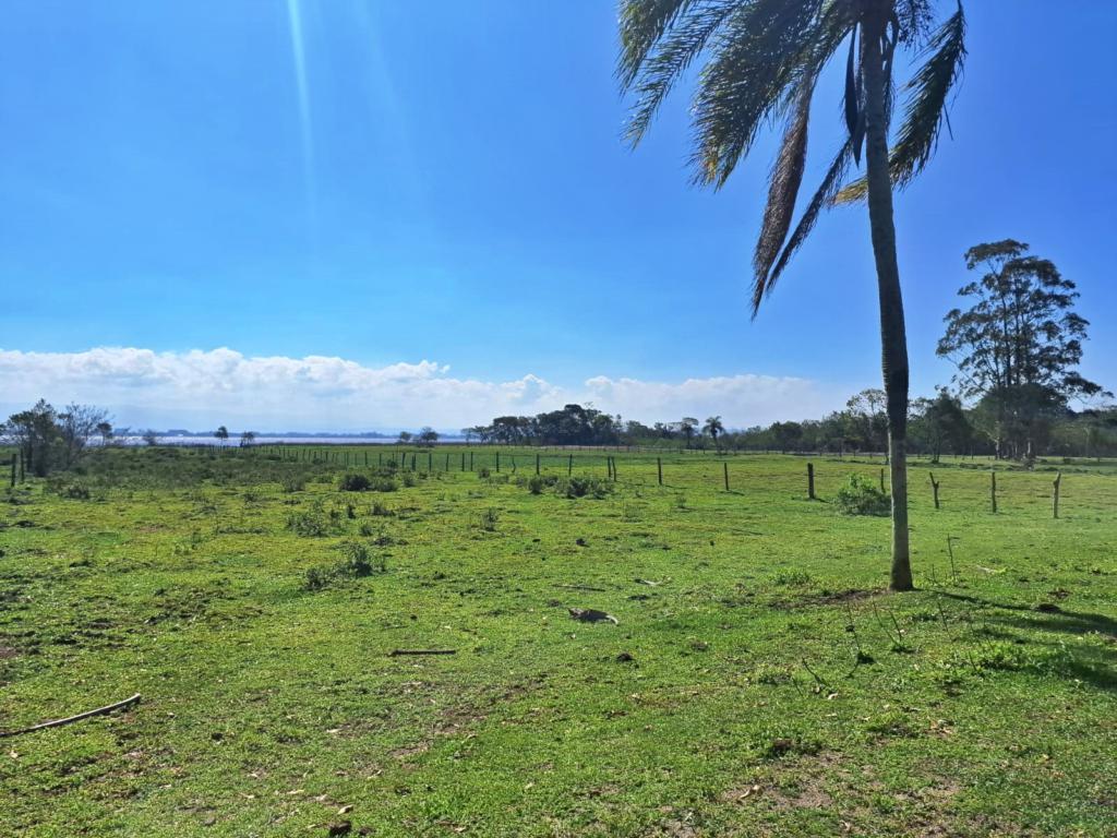 Fazenda à venda com 1 quarto, 90m² - Foto 19