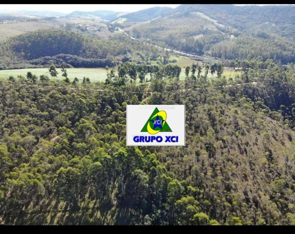 Fazenda à venda, 600000M2 - Foto 11