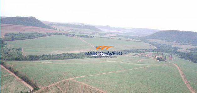 Fazenda, 390 hectares - Foto 7