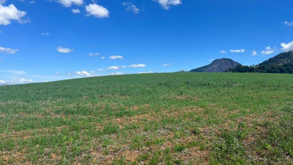 Fazenda, 339 hectares - Foto 4