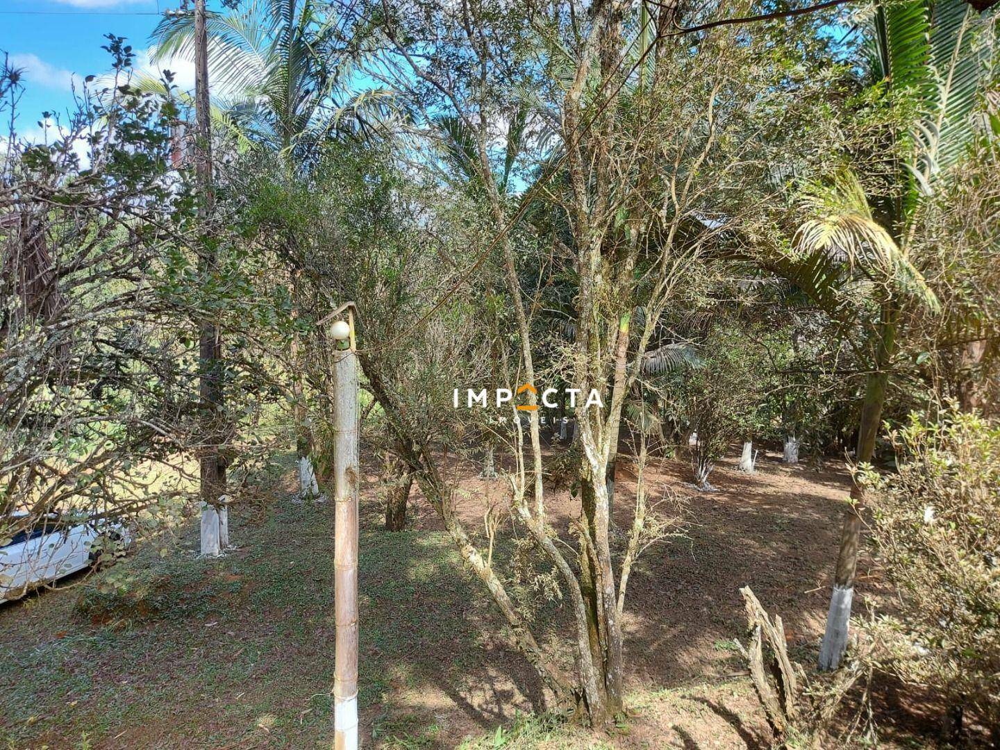 Chácara à venda com 2 quartos, 10500M2 - Foto 25