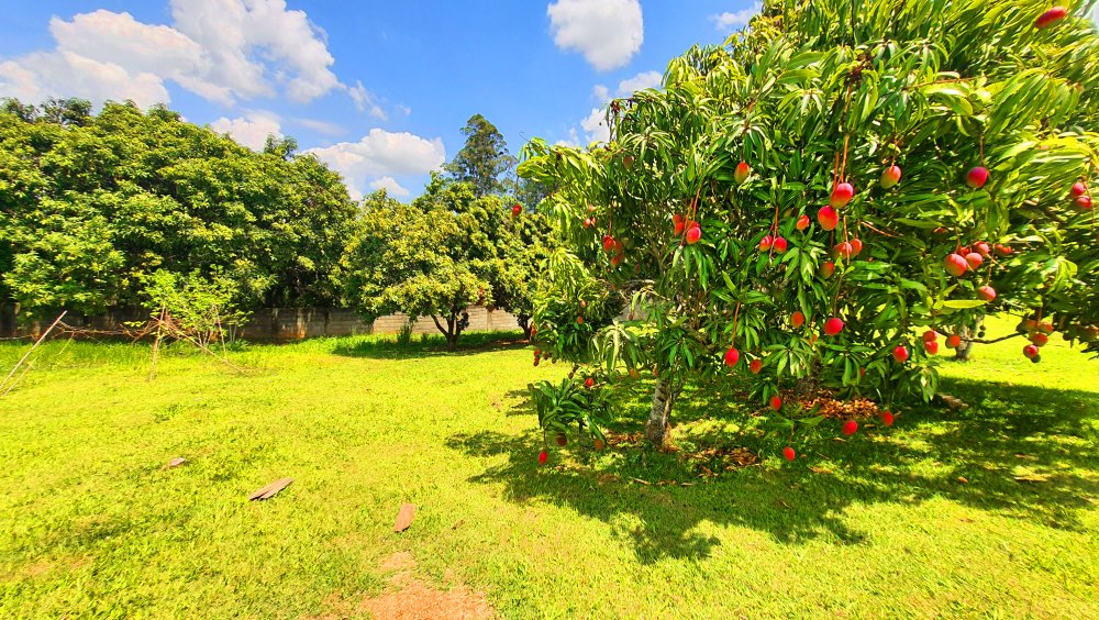 Fazenda à venda com 2 quartos, 3768m² - Foto 6