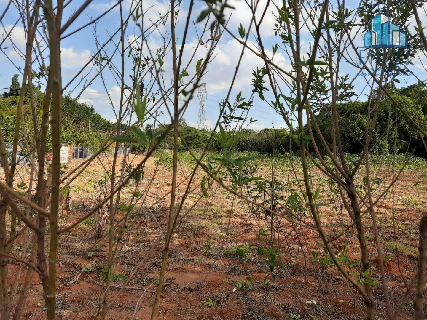 Terreno à venda e aluguel, 11000M2 - Foto 3