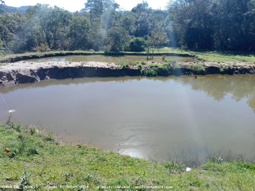 Fazenda à venda com 2 quartos, 180000m² - Foto 2