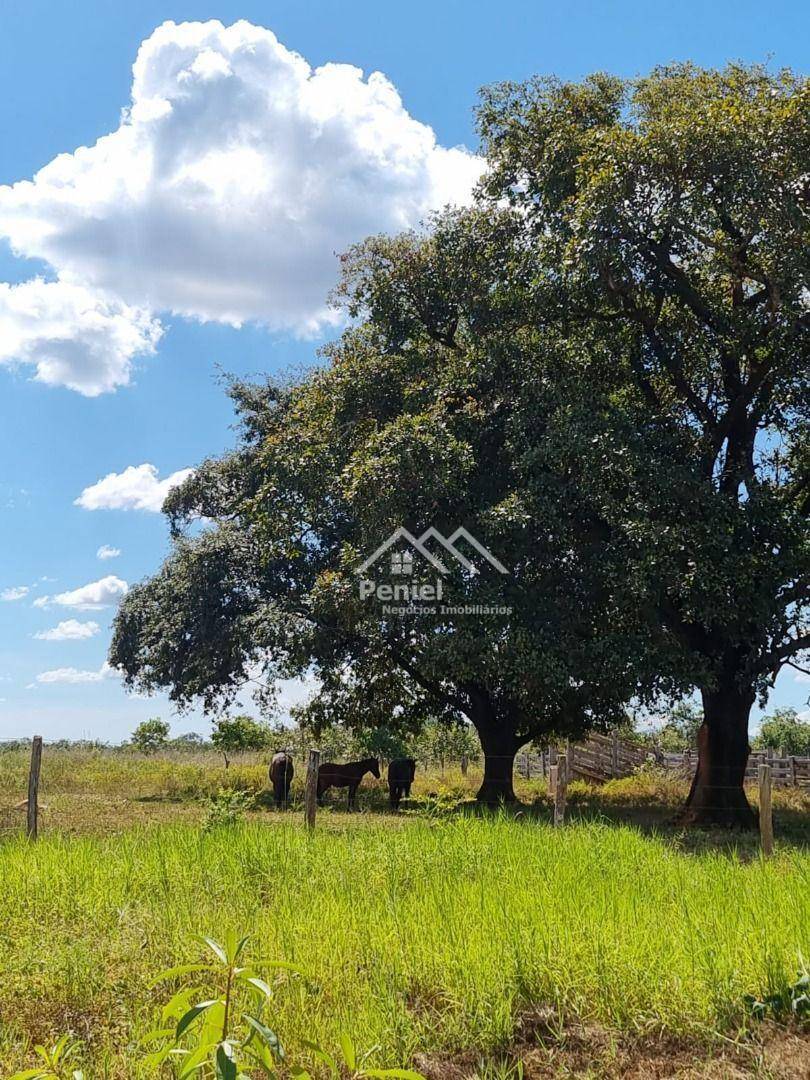 Fazenda-Sítio-Chácara, 222 hectares - Foto 8