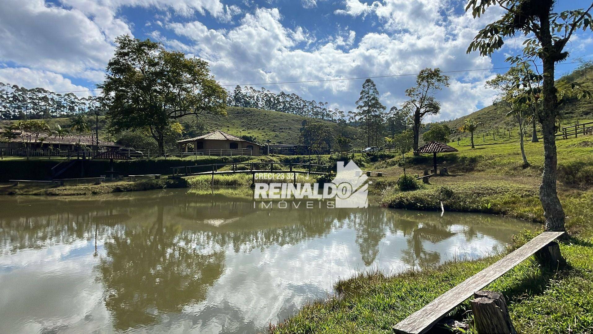 Fazenda à venda com 8 quartos, 900m² - Foto 55