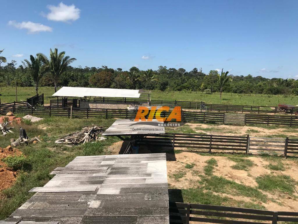 Fazenda à venda com 2 quartos, 1110000M2 - Foto 9