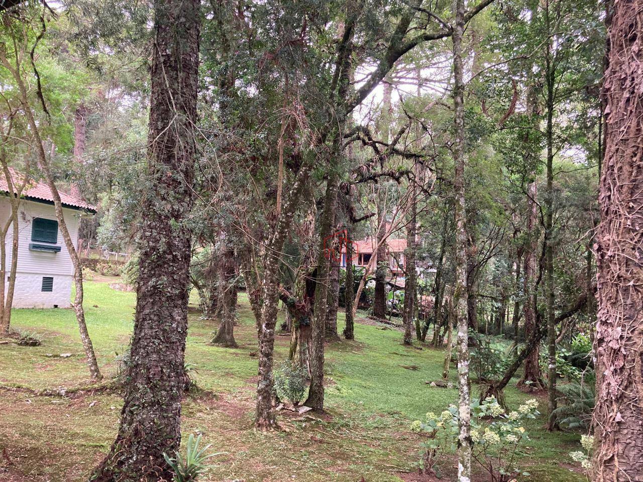 Terreno à venda, 3271M2 - Foto 6