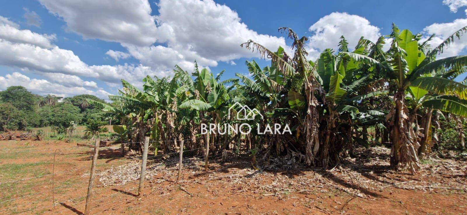 Sítio, 3 quartos, 7320 m² - Foto 7