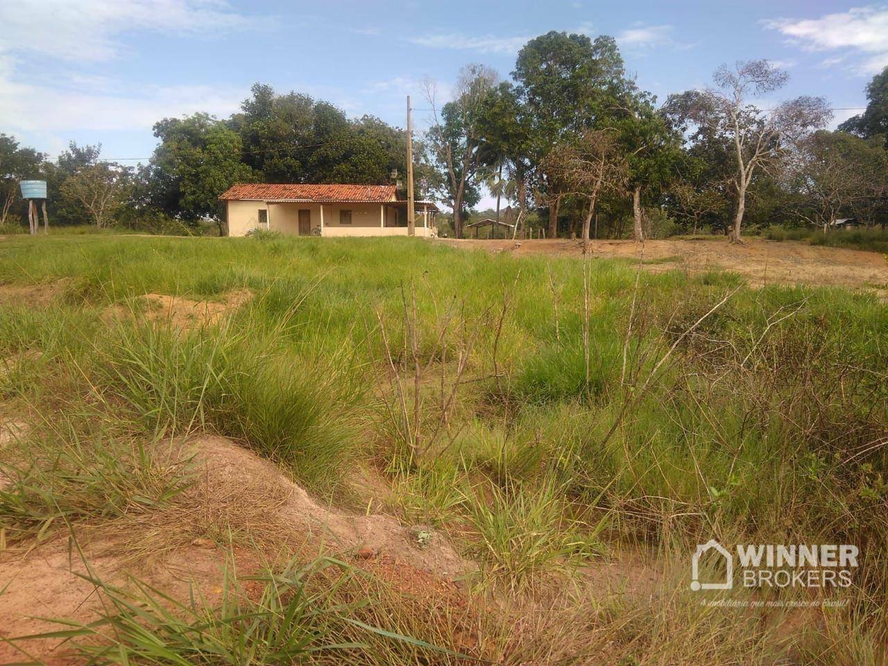 Fazenda-Sítio-Chácara, 1287 hectares - Foto 3