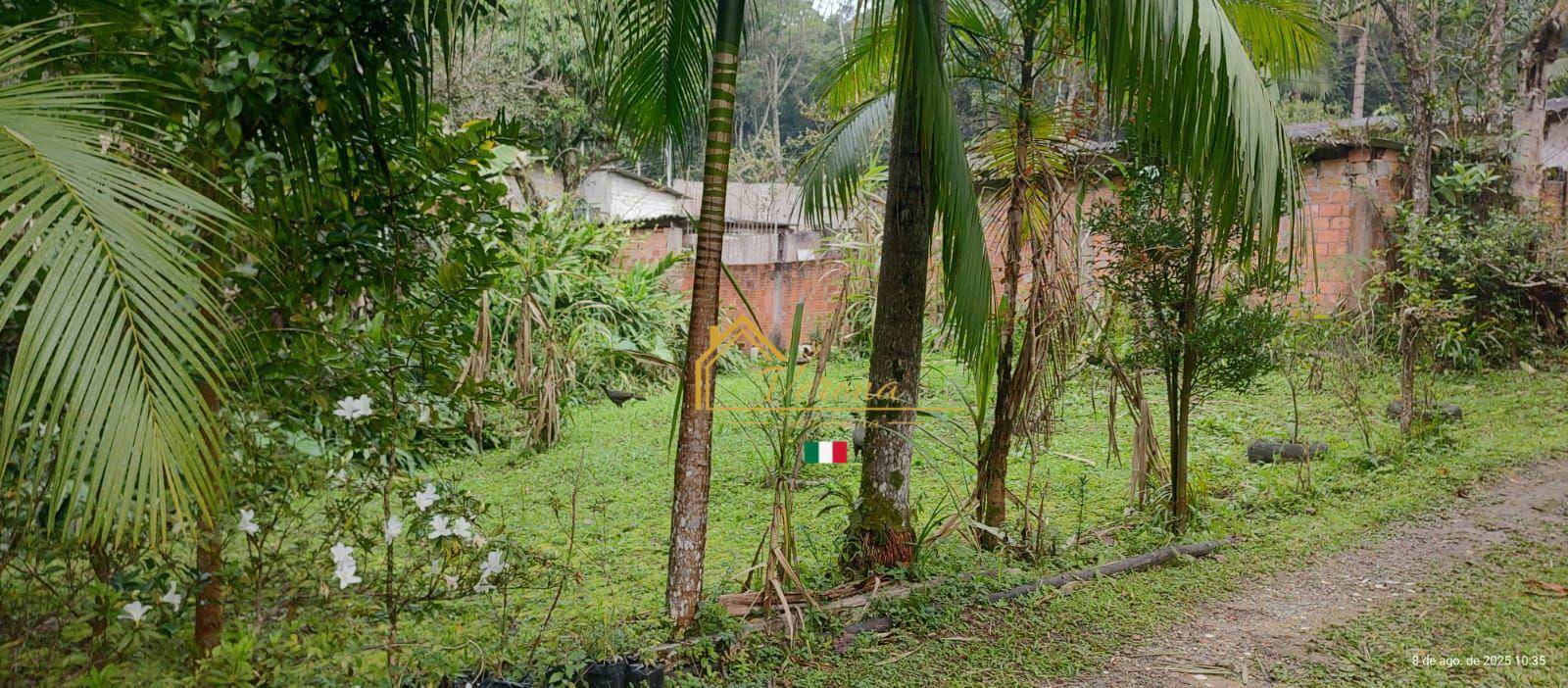 Chácara, 2 quartos, 5000 m² - Foto 2