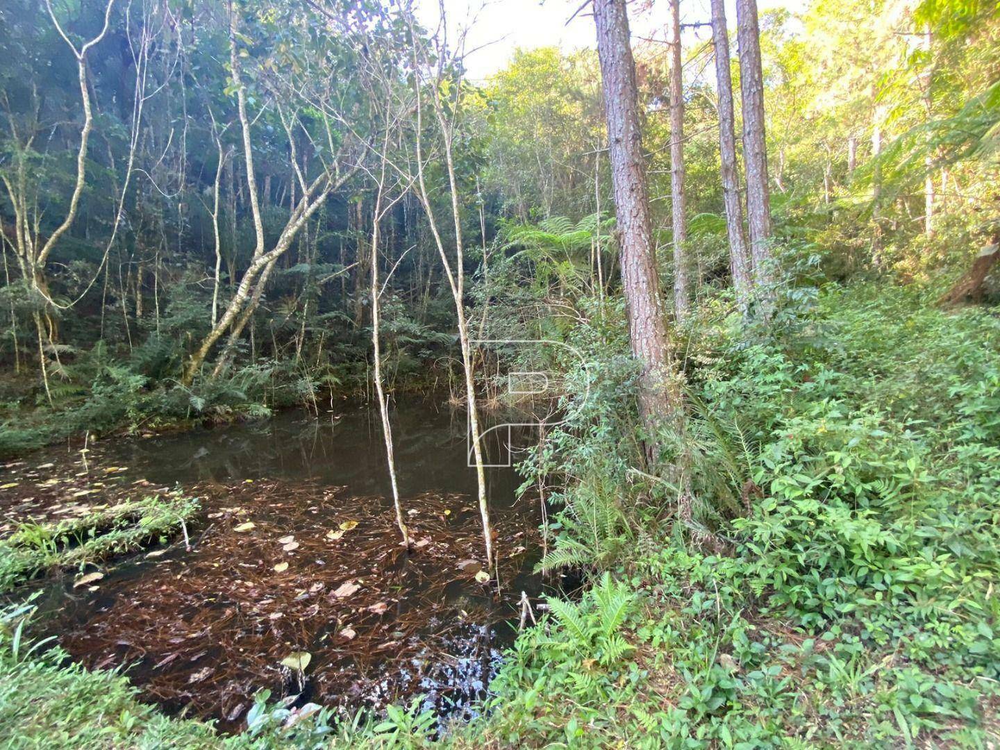 Terreno à venda, 75000M2 - Foto 34