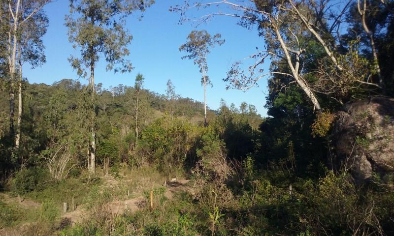 Loteamento e Condomínio à venda, 110000m² - Foto 5