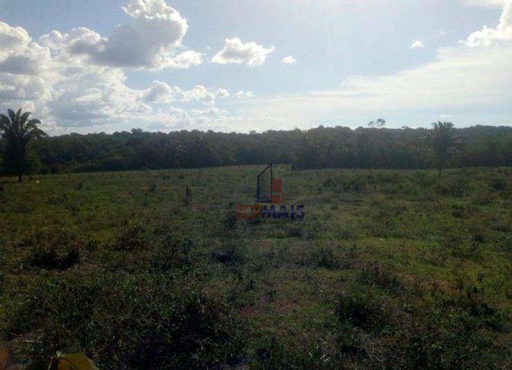 Fazenda à venda, 1060000M2 - Foto 3