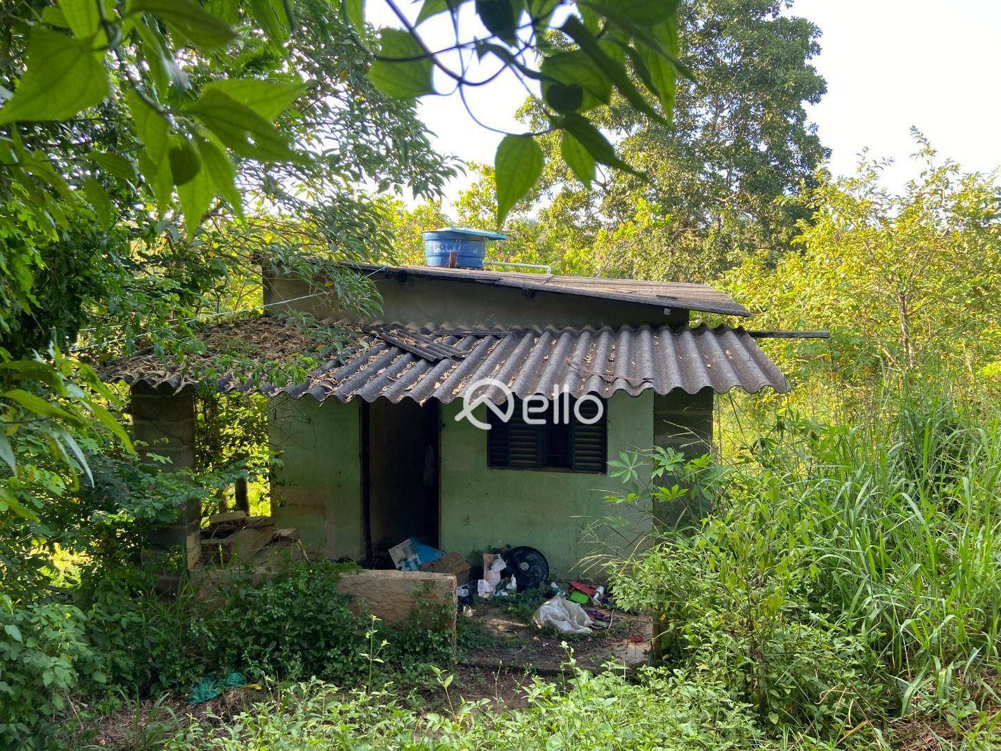 Sítio à venda com 6 quartos, 22700M2 - Foto 32
