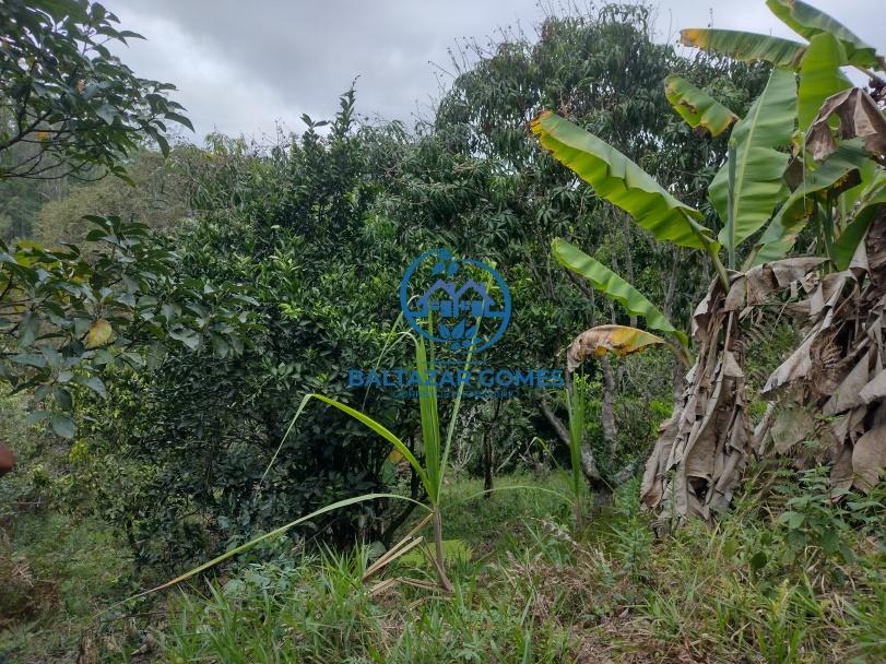 Sítio à venda com 2 quartos, 4800m² - Foto 15